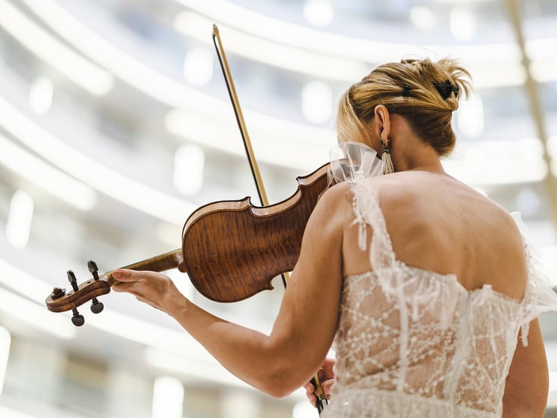 String Quartet